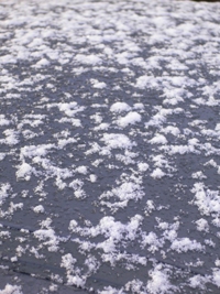 wphoto05nov2 036.JPG